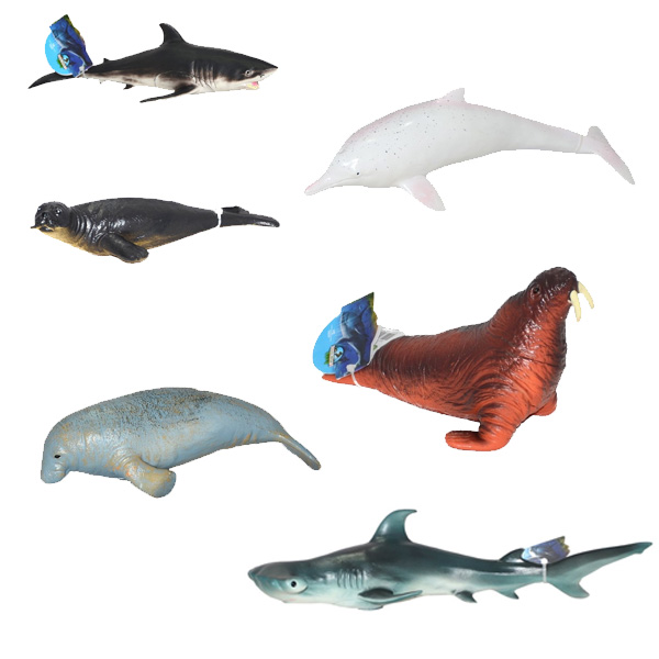 Asya Deniz Hayvanları 9 Ass. 21616-E022